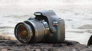 Best Budget Canon Cameras in 2020