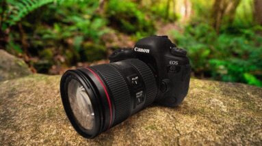 Best Budget DSLRs in 2020 | Top 3 Cheap DSLR Options
