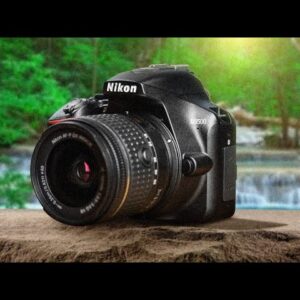 Best Budget Nikon Cameras in 2020