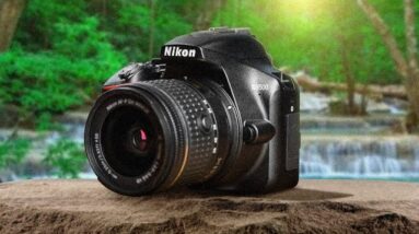 Best Budget Nikon Cameras in 2020