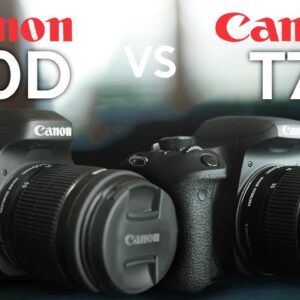 Canon 80D vs T7i  | Which To Buy in 2019