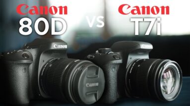 Canon 80D vs T7i  | Which To Buy in 2019