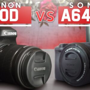 Canon EOS 80D vs Sony A6400  | Which is better for Vlogging in 2019
