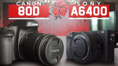 Canon EOS 80D vs Sony A6400  | Which is better for Vlogging in 2019
