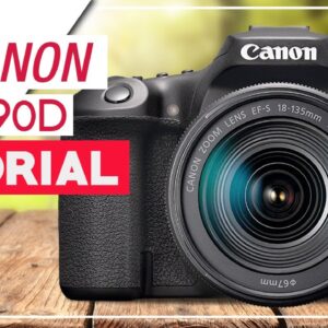 Canon EOS 90D Tutorial - How To Setup Your DSLR