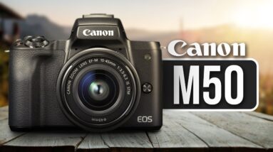 Canon M50 Review - WATCH BEFORE YOU BUY