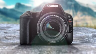 Canon SL2 (200D) Review | Still Worth The Buy in 2020?