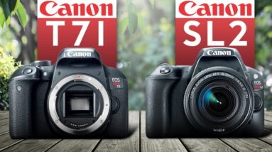 Canon SL2 (200D) vs Canon T7i (800D) |  Watch Before You Buy