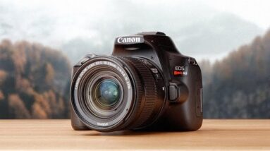 Canon SL3 Review | Watch Before You Buy