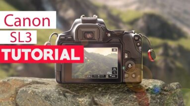 Canon SL3 Tutorial - Beginners Guide