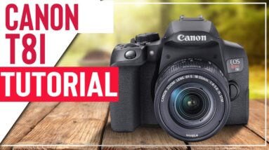 Canon T8i Tutorial - User Guide