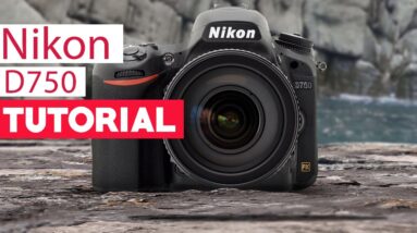 Nikon D750 Tutorial - Complete User Guide