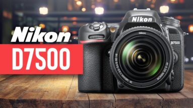 Nikon D7500 Review - Watch Before You Buy in 2020
