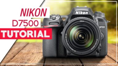 Nikon D7500 Tutorial - How To Setup Your DSLR
