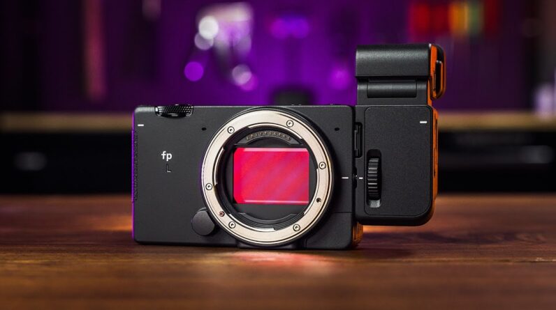 Sigma fp L Review: A VERY CONFUSING Camera!