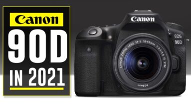 Canon 90D Review | Is It Worth The Buy in 2021? 14 Canon 90D Review | Is It Worth The Buy in 2021?