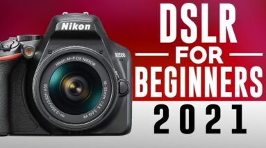 Top 3 Best Entry Level DSLR in 2021 | Best Beginner DSLR Camera 12 Top 3 Best Entry Level DSLR in 2021 | Best Beginner DSLR Camera