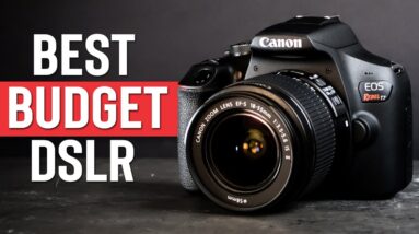 Best Budget DSLR Cameras in 2021  | Top 3 Cheap DSLR's