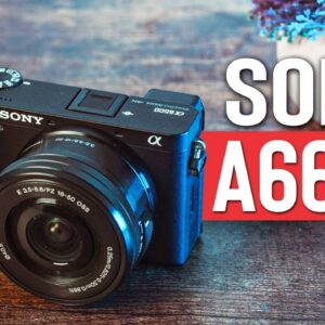 Sony a6600 (2021) | Watch Before You Buy in 2021