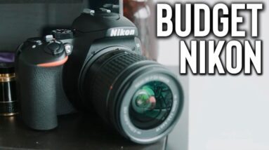 Best Budget Nikon Cameras in 2021