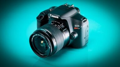 Best Cameras for Beginners in 2022