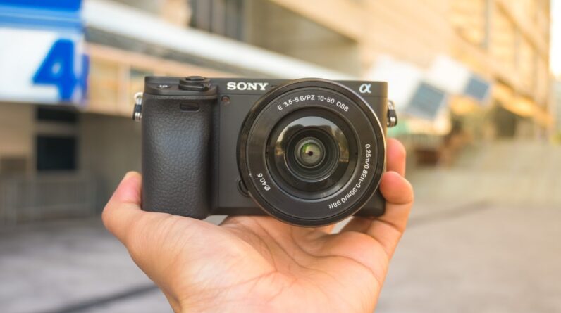 Best Budget Cameras in 2022