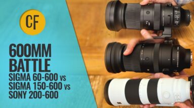 600mm Zoom Battle! Sigma 60-600 vs Sigma 150-600 vs Sony 200-600mm