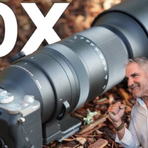 All-New 10X Telephoto: Sigma 60-600mm F4.5-6.3 Review