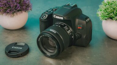 Best DSLR Cameras in 2023 | Best DSLR For Photo & Video