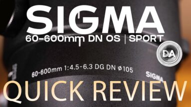 Sigma 60-600mm F4.5-6.3 DG DN OS Sport Quick Review | Telephoto Versatility