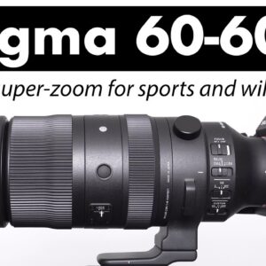 Sigma 60-600mm DG DN review: IN-DEPTH best super-zoom for wildlife?