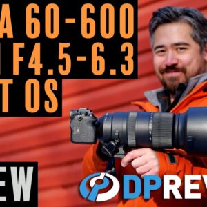 Sigma 60-600mm F4.5-6.3 DG DN Sport Review