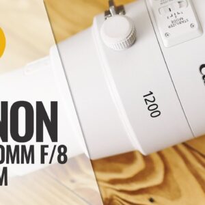 Canon RF 1200mm f/8 'L' IS USM lens review