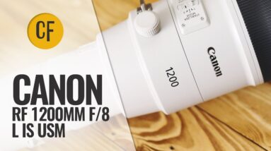 Canon RF 1200mm f/8 'L' IS USM lens review