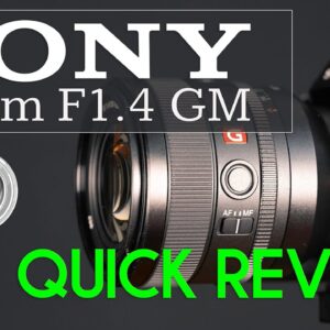 Sony FE 50mm F1.4 G Master Quick Review |