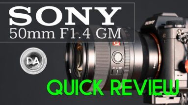 Sony FE 50mm F1.4 G Master Quick Review |