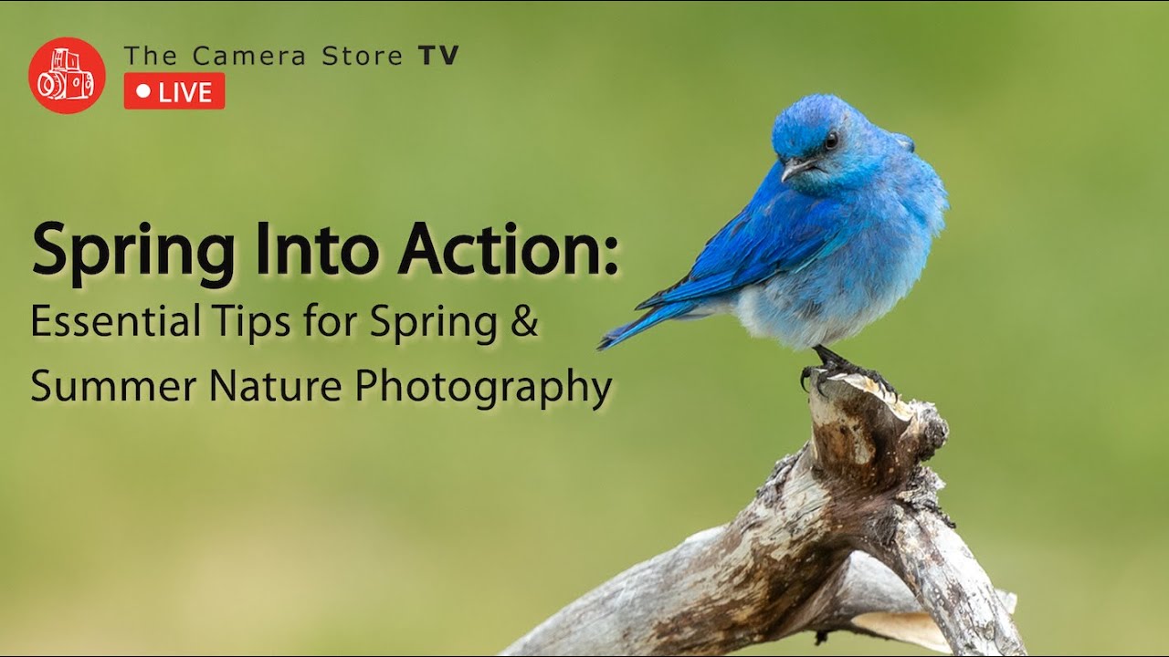 TCSTV Live: Spring Into Action: Essential Tips For Spring & Summer ...