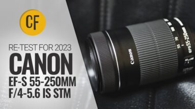 Re-review for 2023: Canon EF-S 55-250mm IS STM on an EOS R7