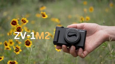 The New Sony ZV-1 Mark II Review