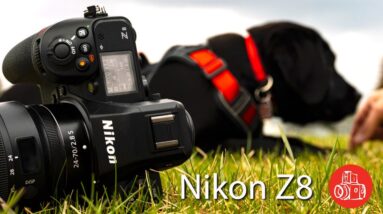 Why Everyone Can't Stop Talking About the Nikon Z8!