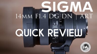Sigma 14mm F1.4 DN ART Quick Review  | The Astro Monster