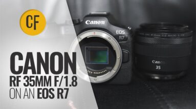 Canon RF 35mm f/1.8...on a 32.5mp Canon EOS R7