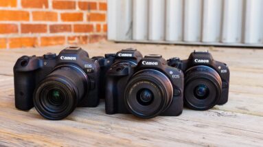 Your Guide to Canon Mirrorless Cropped Sensor Cameras