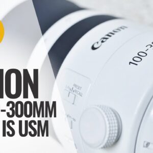 Canon RF 100-300mm f/2.8 L IS USM lens review