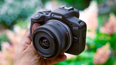 Canon R100 - The Best Everyday Camera?