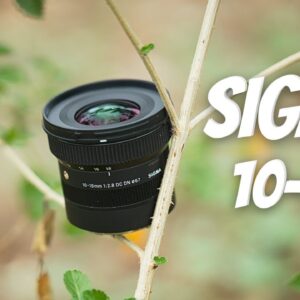 Sigma Does it Again! The New 10-18mm F2.8