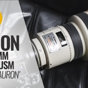 Canon EF 200mm f/1.8 L USM 'Eye of Sauron' lens review