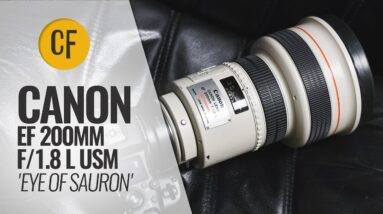 Canon EF 200mm f/1.8 L USM 'Eye of Sauron' lens review