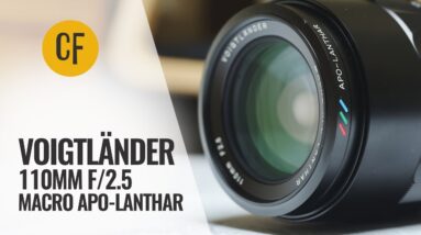 Voigtländer 110mm f/2.5 Macro APO-Lanthar lens review
