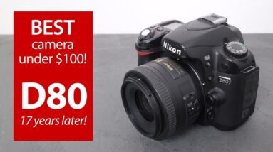 BEST camera under $100: Nikon D80, 17 YEARS later!